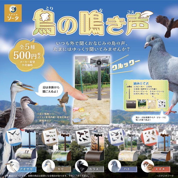 鳥の鳴き声
