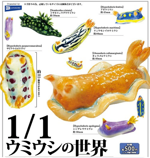 1/1 ウミウシの世界