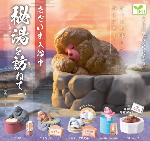 ただいま入浴中 秘湯を訪ねて