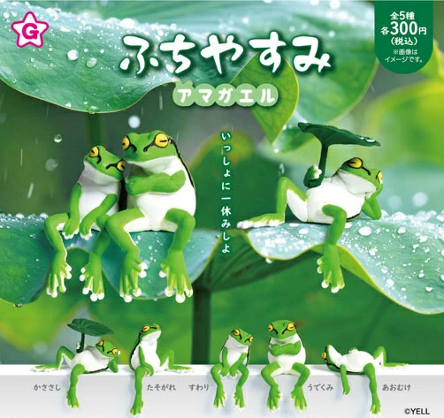 ふちやすみ アマガエル