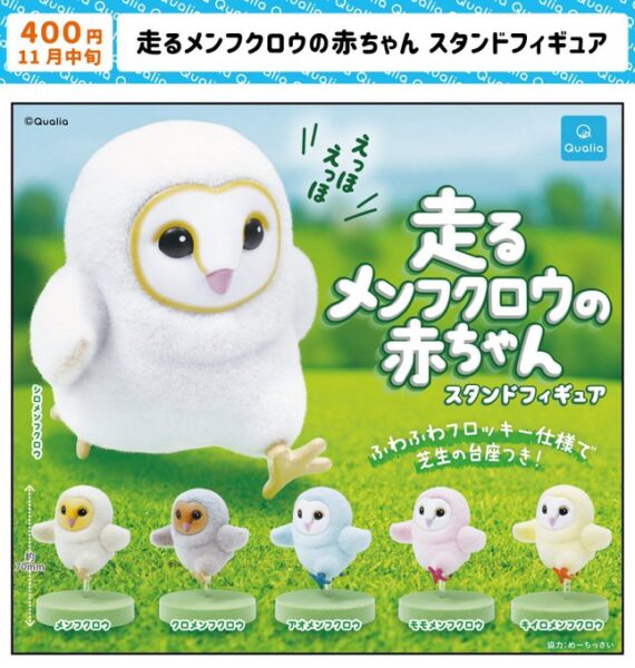 走るメンフクロウの赤ちゃん