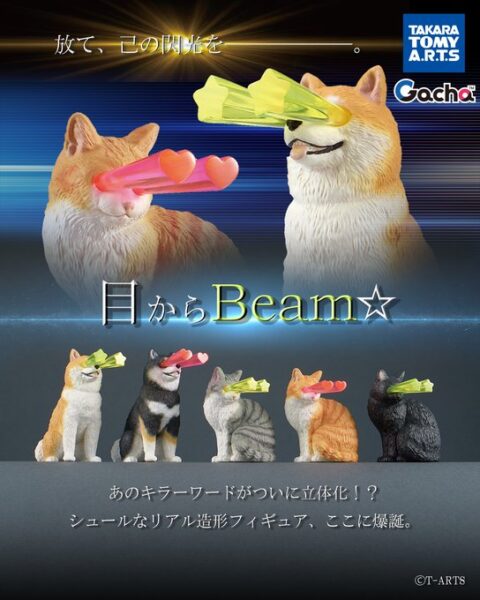 目からBeam☆