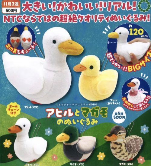 NTC MONO アヒルとマガモのぬいぐるみ