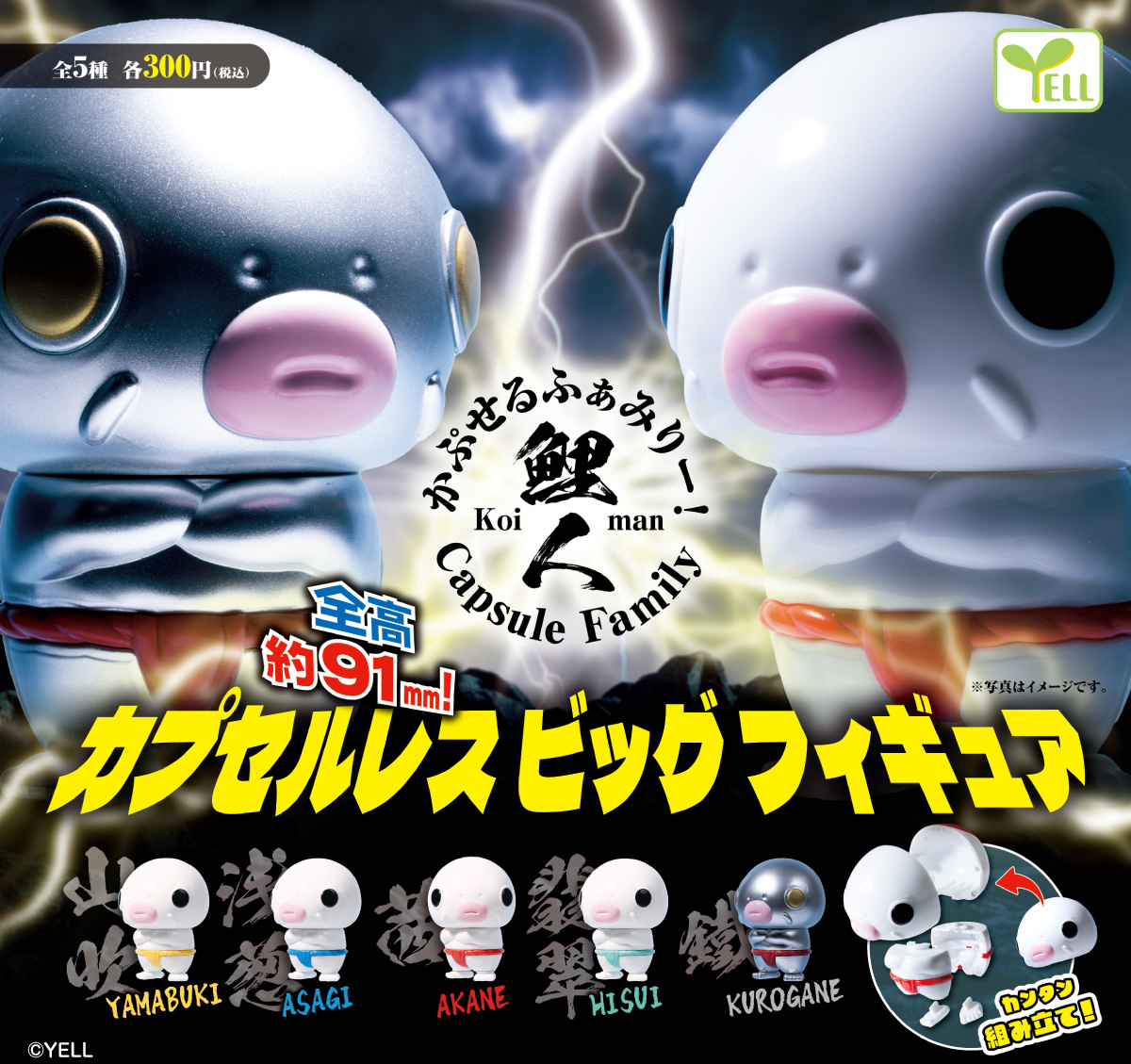 かぷせるふぁみりー！ 鯉人