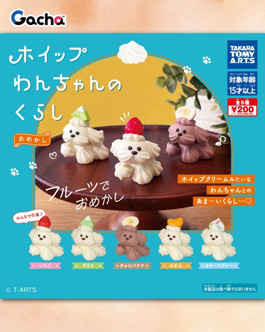 ホイップわんちゃんのくらし おめかし