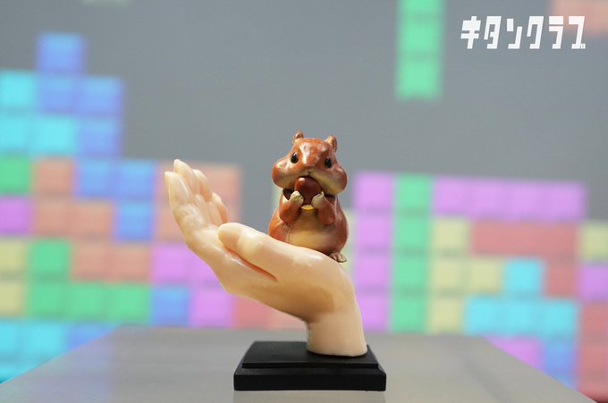 手とリス