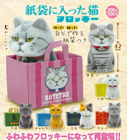 紙袋に入った猫 フロッキー