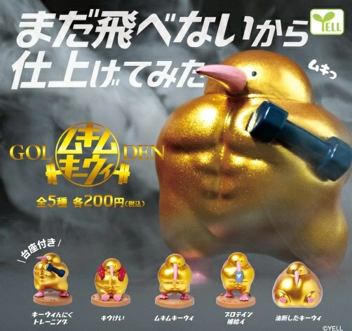 GOLDEN ムキムキーウィ