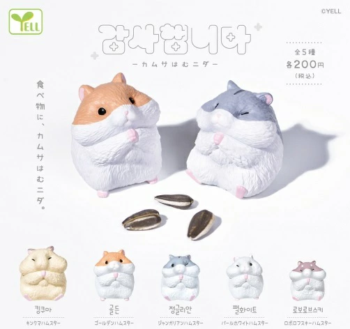 カムサはむニダ