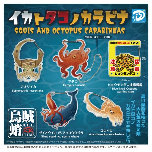 イカトタコノカラビナ