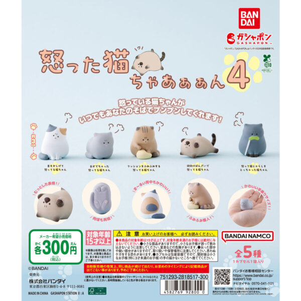 怒った猫ちゃあぁぁん 4