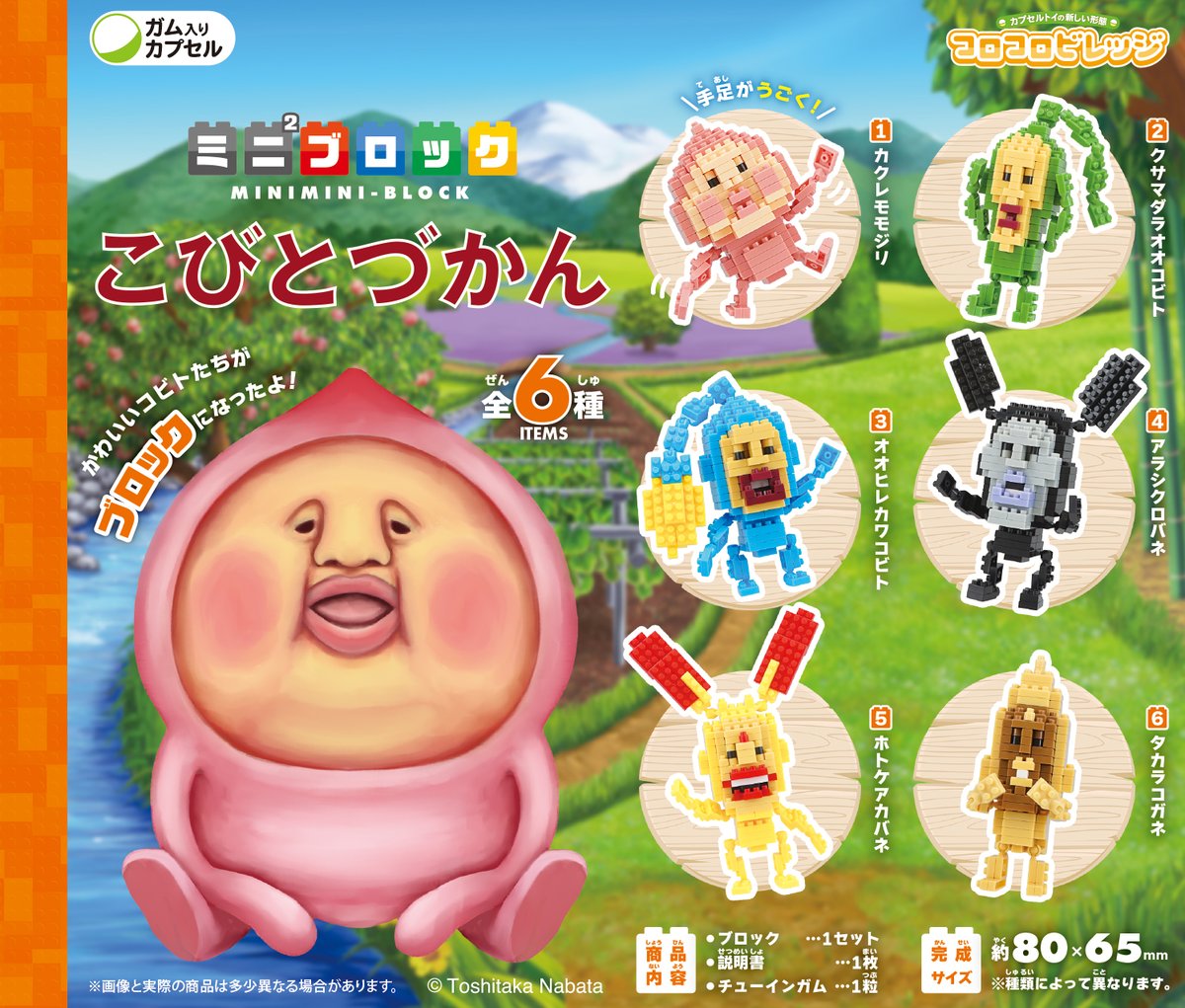 コロコロビレッジ ミニ²ブロック こびとづかん