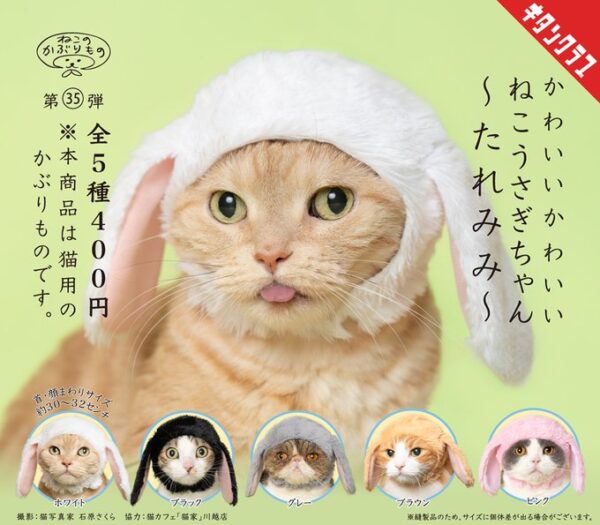 かわいい かわいい ねこうさぎちゃん たれみみ