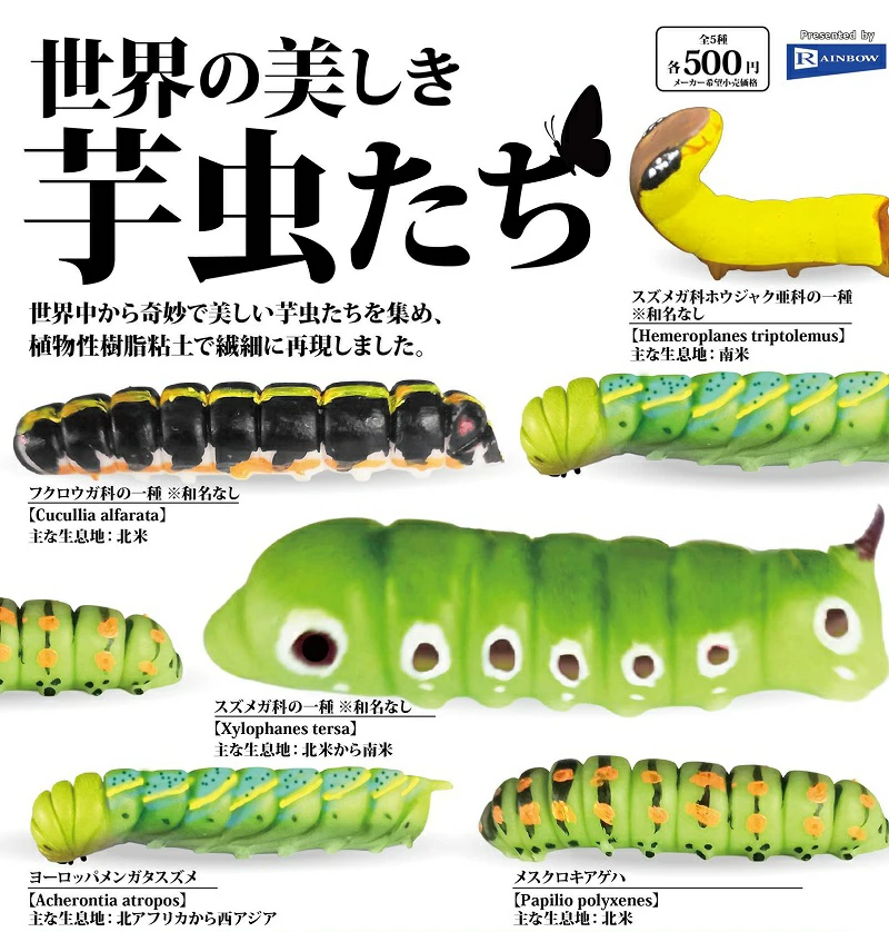 世界の美しき芋虫たち