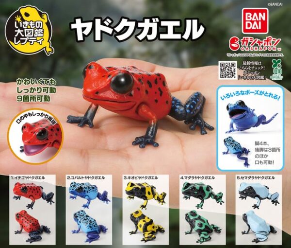 いきもの大図鑑レプティ ヤドクガエル