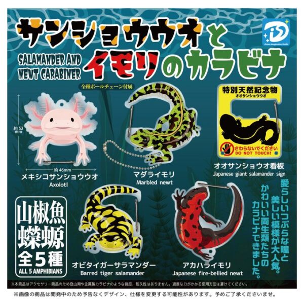 サンショウウオとイモリのカラビナサンショウウオとイモリのカラビナ