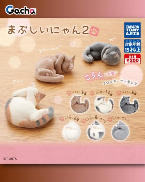 まぶしいにゃん2