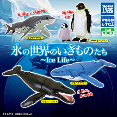 氷の世界のいきものたち Ice Life