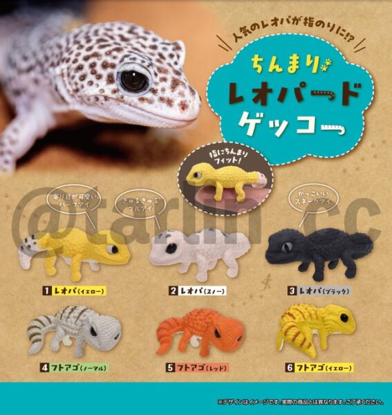 ちんまりレオパードゲッコー