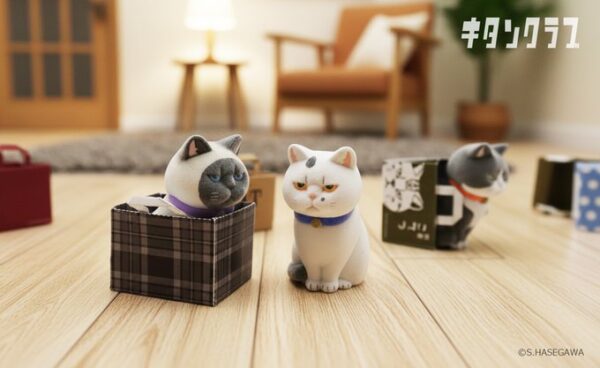 紙袋に入った猫 フロッキー2