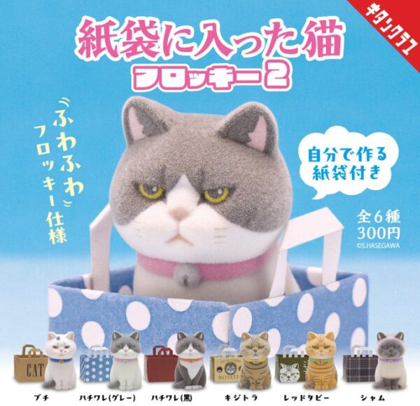 紙袋に入った猫 フロッキー2
