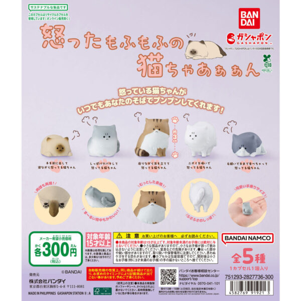 怒ったもふもふの猫ちゃあぁぁん