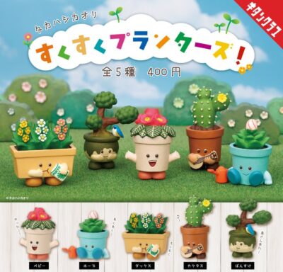 タカハシカオリ すくすくプランターズ！