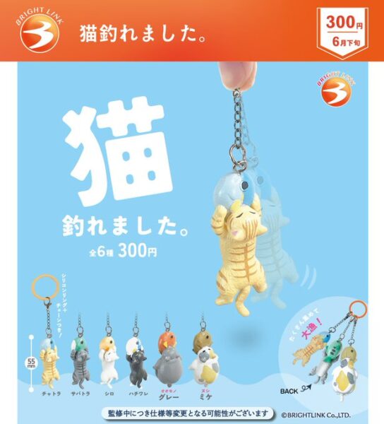 猫釣れました。