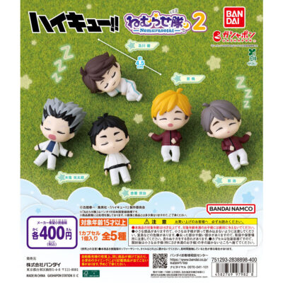 ハイキュー!! ねむらせ隊2