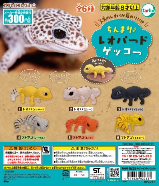 ちんまりレオパードゲッコー