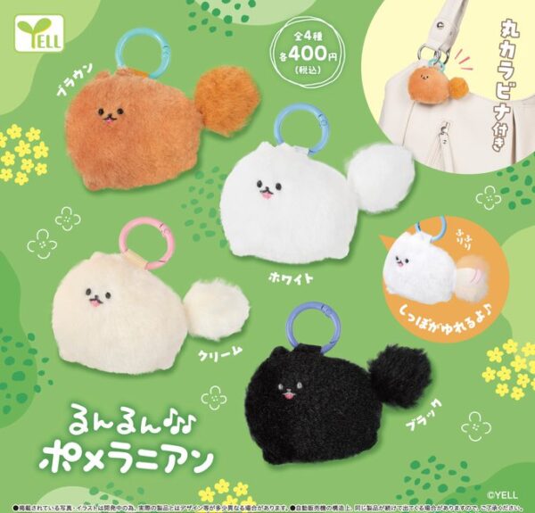 るんるんポメラニアン