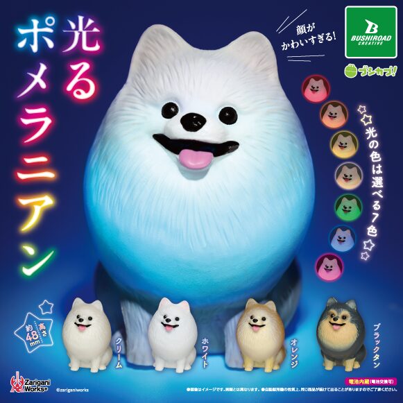 光るポメラニアン
