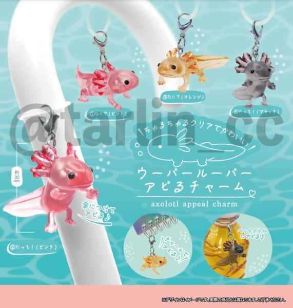 ウーパールーパー アピるチャーム