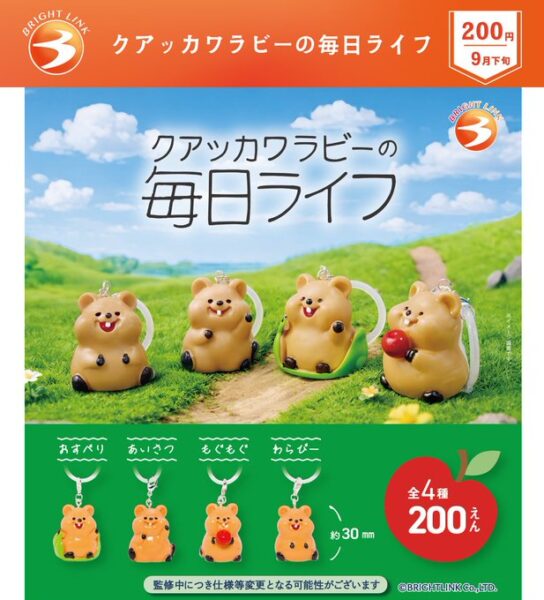 クアッカワラビーの毎日ライフ