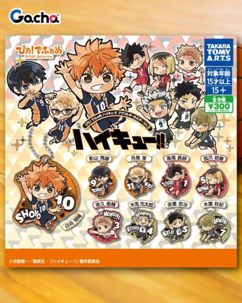 ぴた！でふぉめ ハイキュー!! アクリルキーホルダー Vol.３