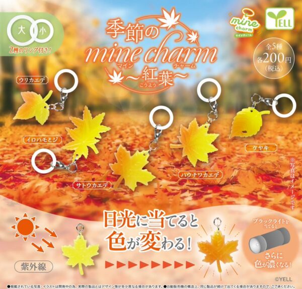 季節のmineチャーム 紅葉