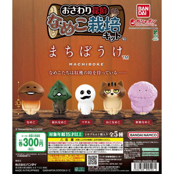 なめこ栽培キット まちぼうけ