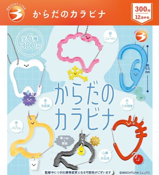 からだのカラビナ