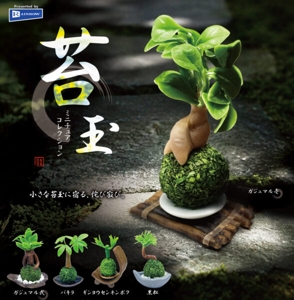 苔玉ミニチュアコレクション